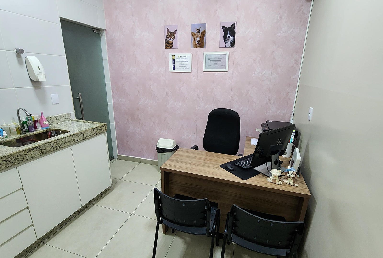 solares veterinaria 2
